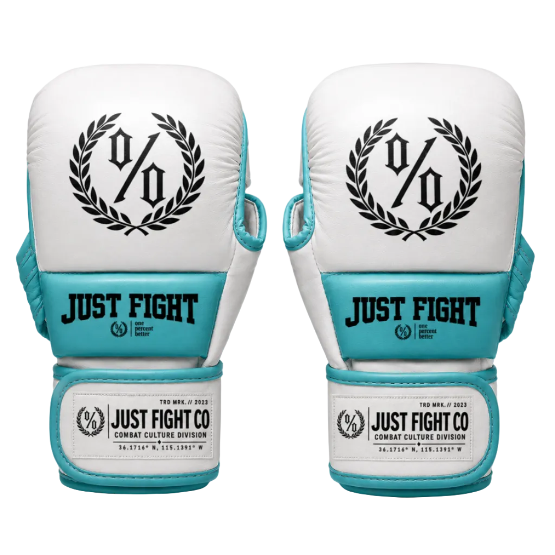 A pair of white and turquoise boxing gloves with black printed logos and text, displayed side-by-side against a light gray background.