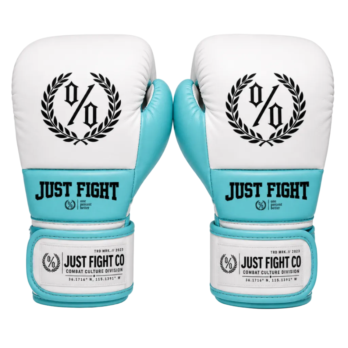 Sea Glass One Percent Boxing Gloves